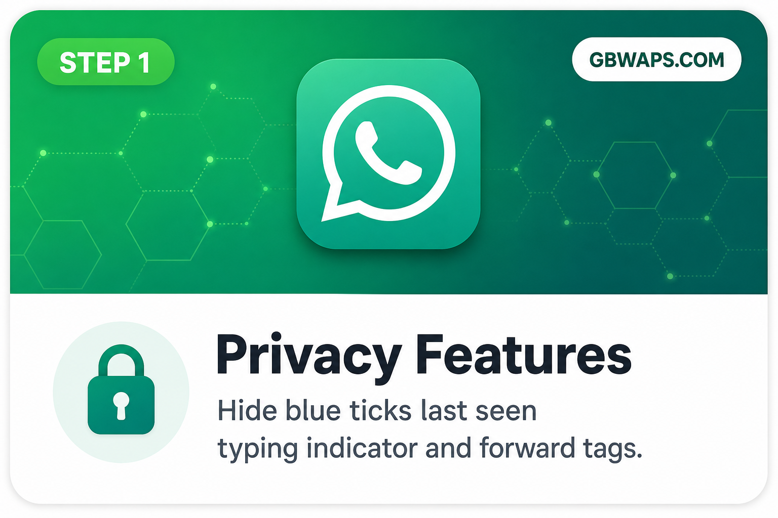 GB WhatsApp Privacy Features — hide blue ticks, last seen, typing indicator